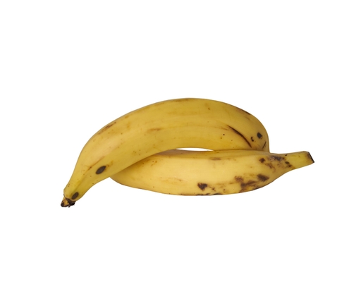 Plantain Yellow image 0