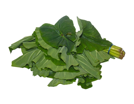 Dasheen Bush image 0