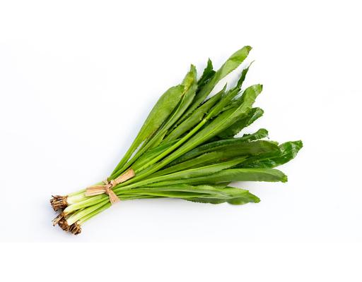 Chadon Beni (Culantro)