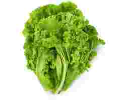 Mustard Greens