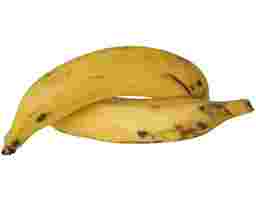 Plantain Yellow