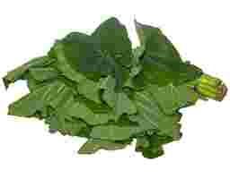 Dasheen Bush