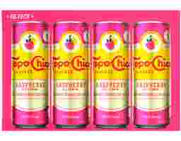 Sabores Raspberry with Lemon, 8 pack Topo Chico