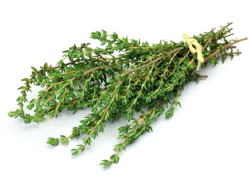 Thyme