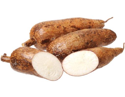 Cassava (Yuca)