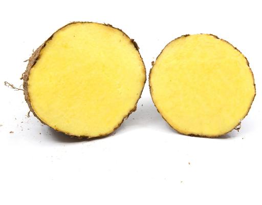 Yam Yellow